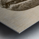 Old gold Metal print