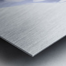 Vogue Style Woman With Beautiful Bright Makeup Metal print