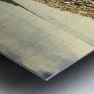 Australian rocky shoreline Metal print