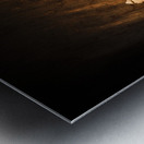 Curse of the tomb robber Metal print