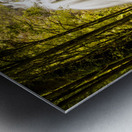 Tasmanian Waterfalls Metal print