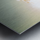 Last light lane Metal print