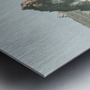 Aquatic spray Metal print