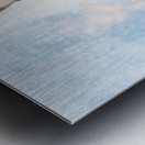 1960s house work pinup woman cleaning glass window Metal print