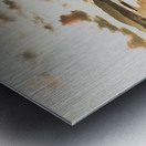 Soothing seaside scene Metal print