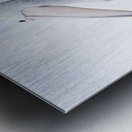 Looking To The Future Metal print