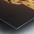 Delicious sweet baked biscuits  Metal print