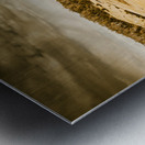 Fields of Jericho Metal print