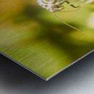 Mothballed Metal print