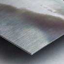 Afternoon pastures  Metal print