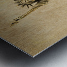 Vintage America Metal print