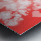 Photographer woman with camera. Photography love Metal print