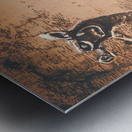 Nordic adventurism Metal print