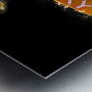 Fire fight Metal print