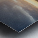 Balance and composure Metal print