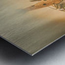 Circus stage spotlight Metal print