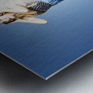 Retro music explosion Metal print