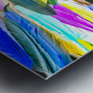 Color Novella Metal print