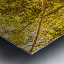 Choose your own adventure Metal print