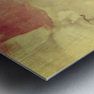 Weathered and faded daffodils Metal print