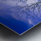 Dark scene from scary dreams Metal print