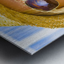 Hot Beach Babe In Summer Fashion Metal print