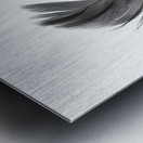 Feathermin Metal print
