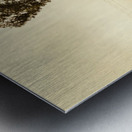 Rustic rural countryside landscape Metal print