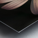 Dark Flower Metal print