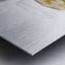 Bourbon Whisky Canter Metal print