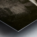 Demon Hunter Metal print