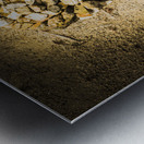 Earthly togetherness Metal print