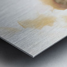 Butterfly Dreams Metal print