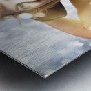 Creative skateboarding pin up Metal print