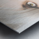 Sexy retro pinup girl applying makeup on lips Metal print