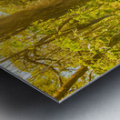 Lostwoods Metal print