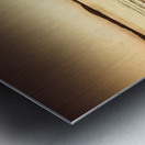 Oceanic harmony Metal print