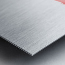 Sky Dance Metal print