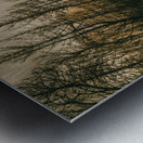 In winters way Metal print