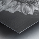 Summer nostalgia Metal print