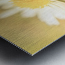 Inseparable  Metal print