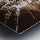 Mischievous vintage housewives Metal print