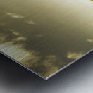 The wander Metal print