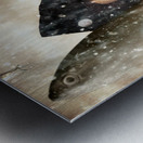 Gift From Above Metal print