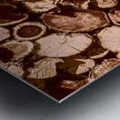 Country wood Metal print