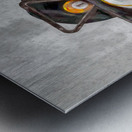 Hot shot Metal print