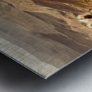 Spring mountain blossoms Metal print