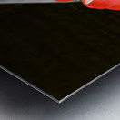 Inversion to the mean Metal print