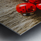 Love bug Metal print