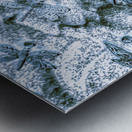 Spring dreams Metal print